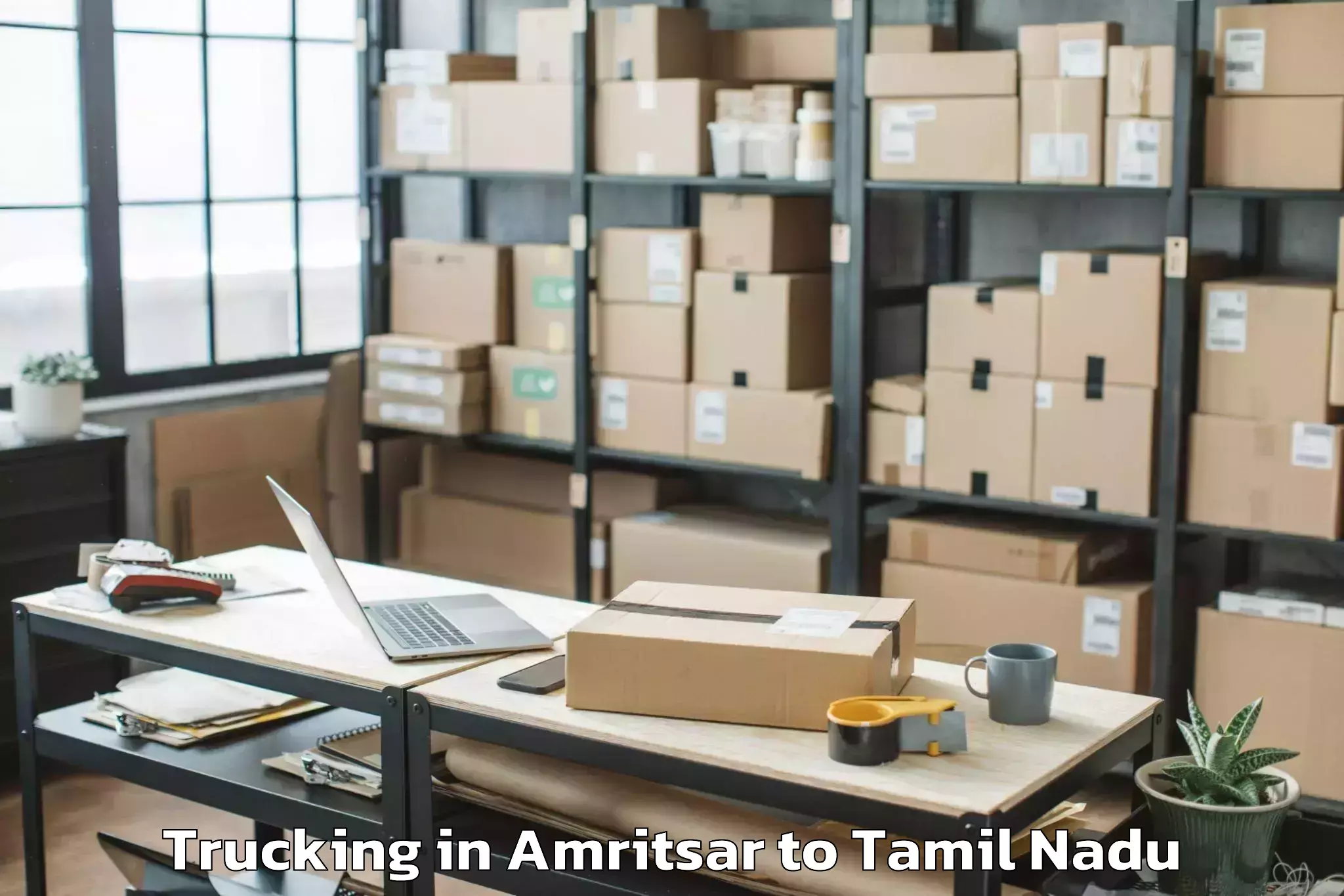 Book Amritsar to Karambakkudi Trucking Online